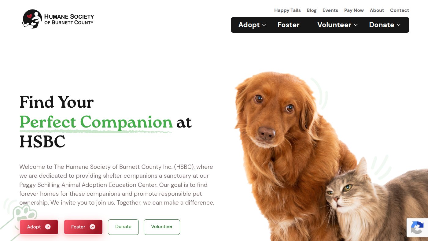 The home page of hsburnettcty.org