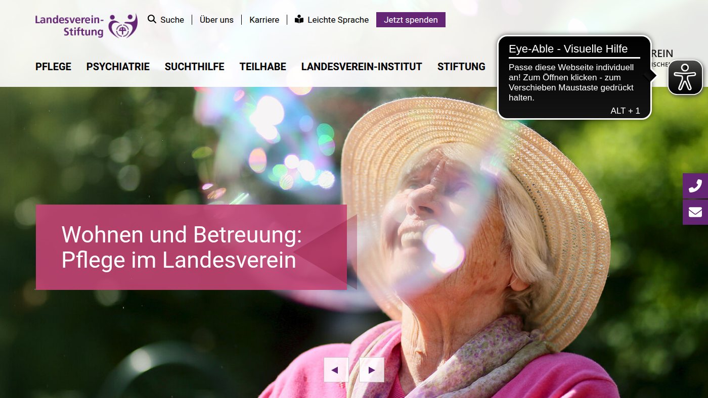 The home page of landesverein.de