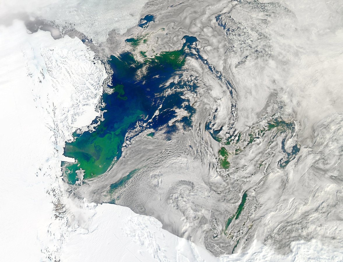 Bloom in the Ross Sea (6876655363).jpg