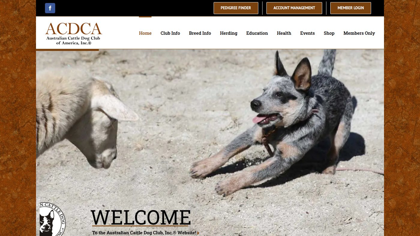 The home page of acdca.org