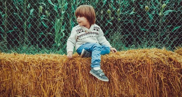1 сентября – День знаний, какой сегодня церковный праздник, что нельзя делать, традиции и приметы этого дня