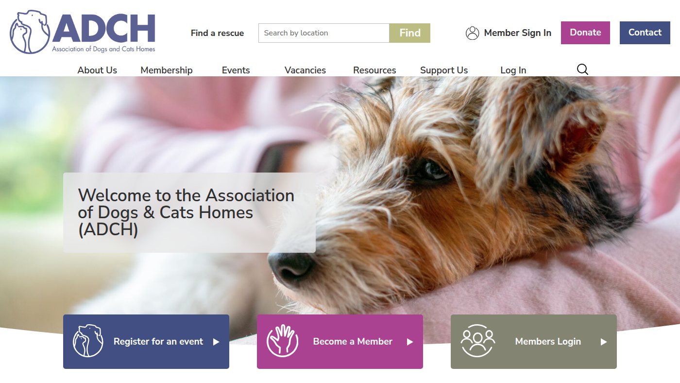 The home page of adch.org.uk
