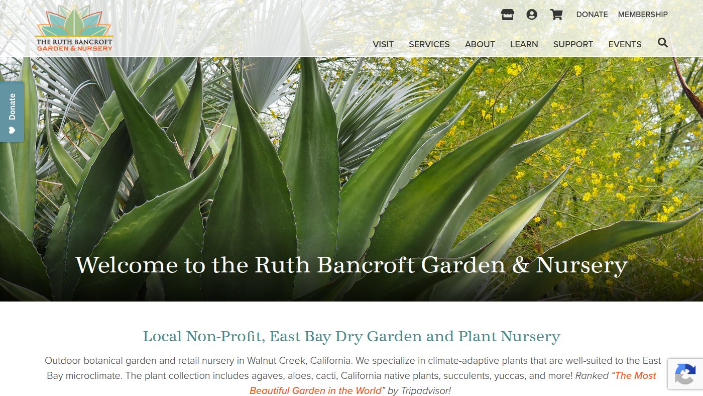The home page of ruthbancroftgarden.org
