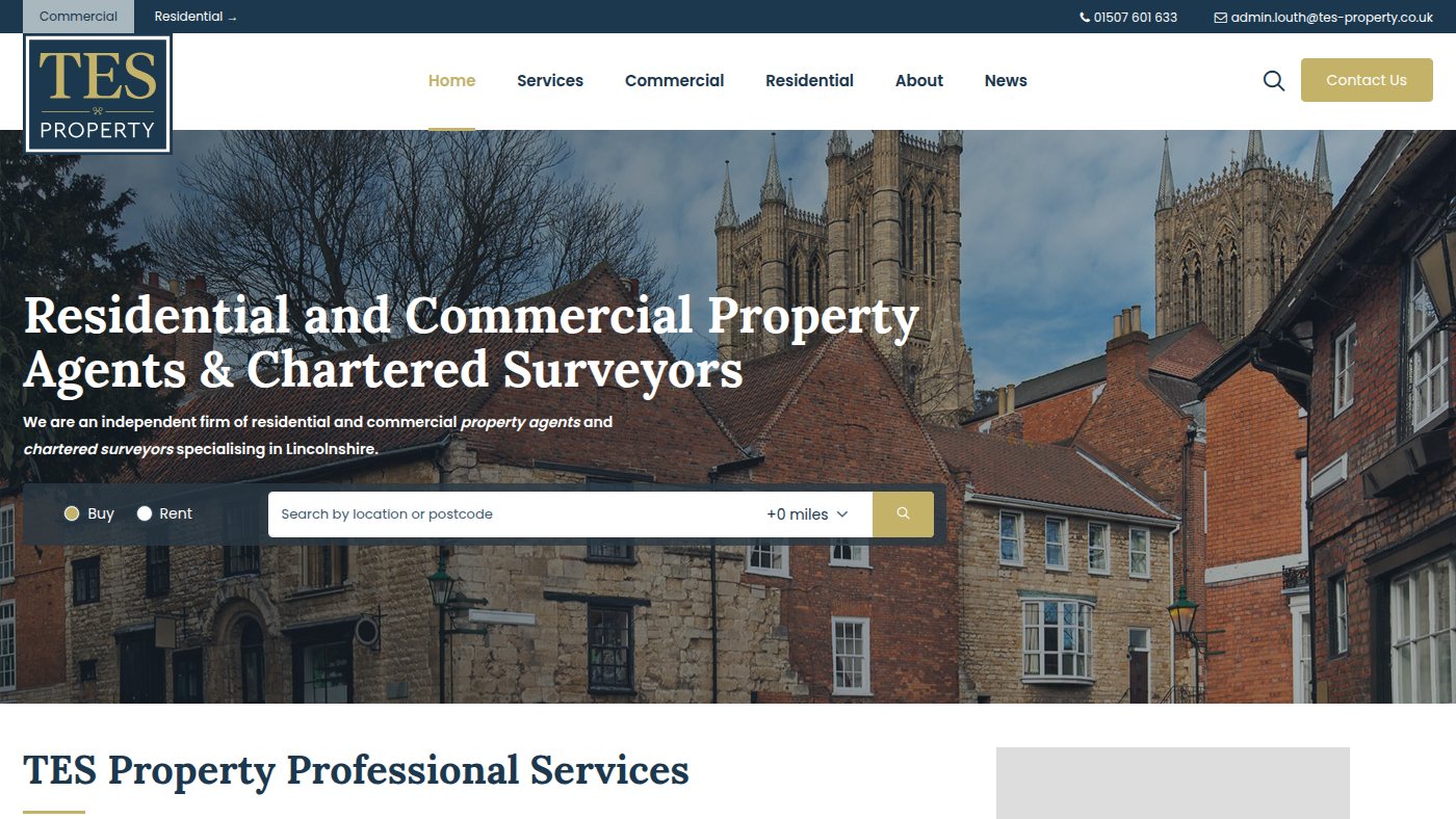 The home page of tes-property.co.uk