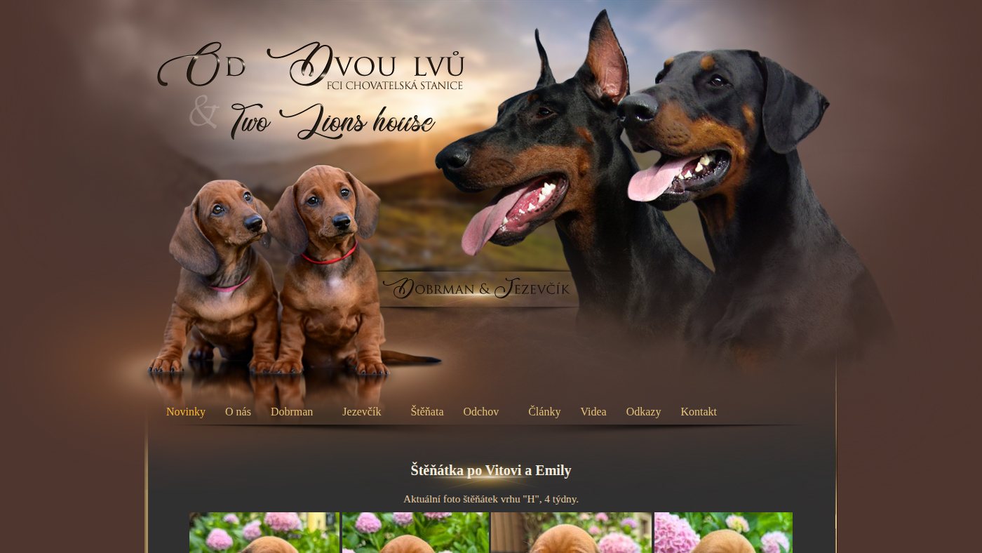 The home page of oddvoulvu.com