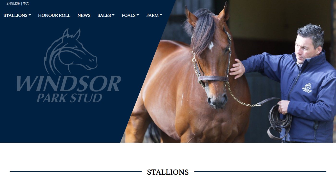The home page of windsorparkstud.co.nz
