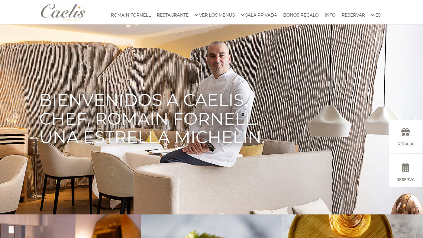 The home page of caelis.com
