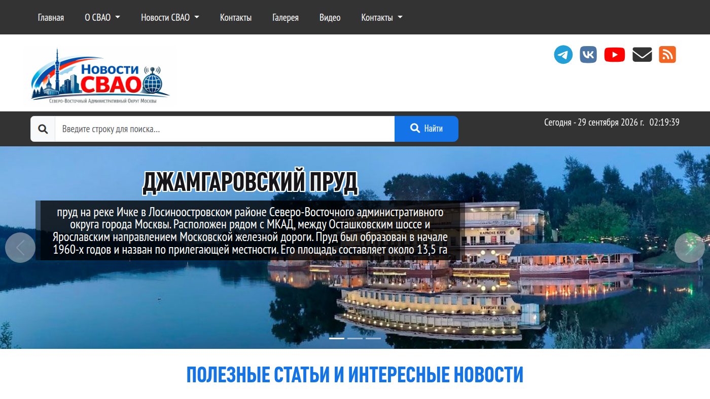The home page of svao-online.ru