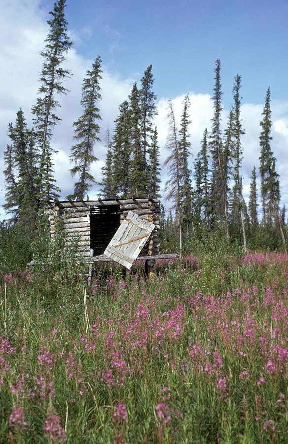 gabled timber cabins by córr nestle into scotland’s rugged landscape