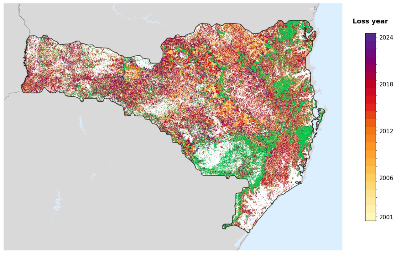Perdita di copertura arborea in Santa Catarina, 2001-2024, dal dataset Global Forest Change