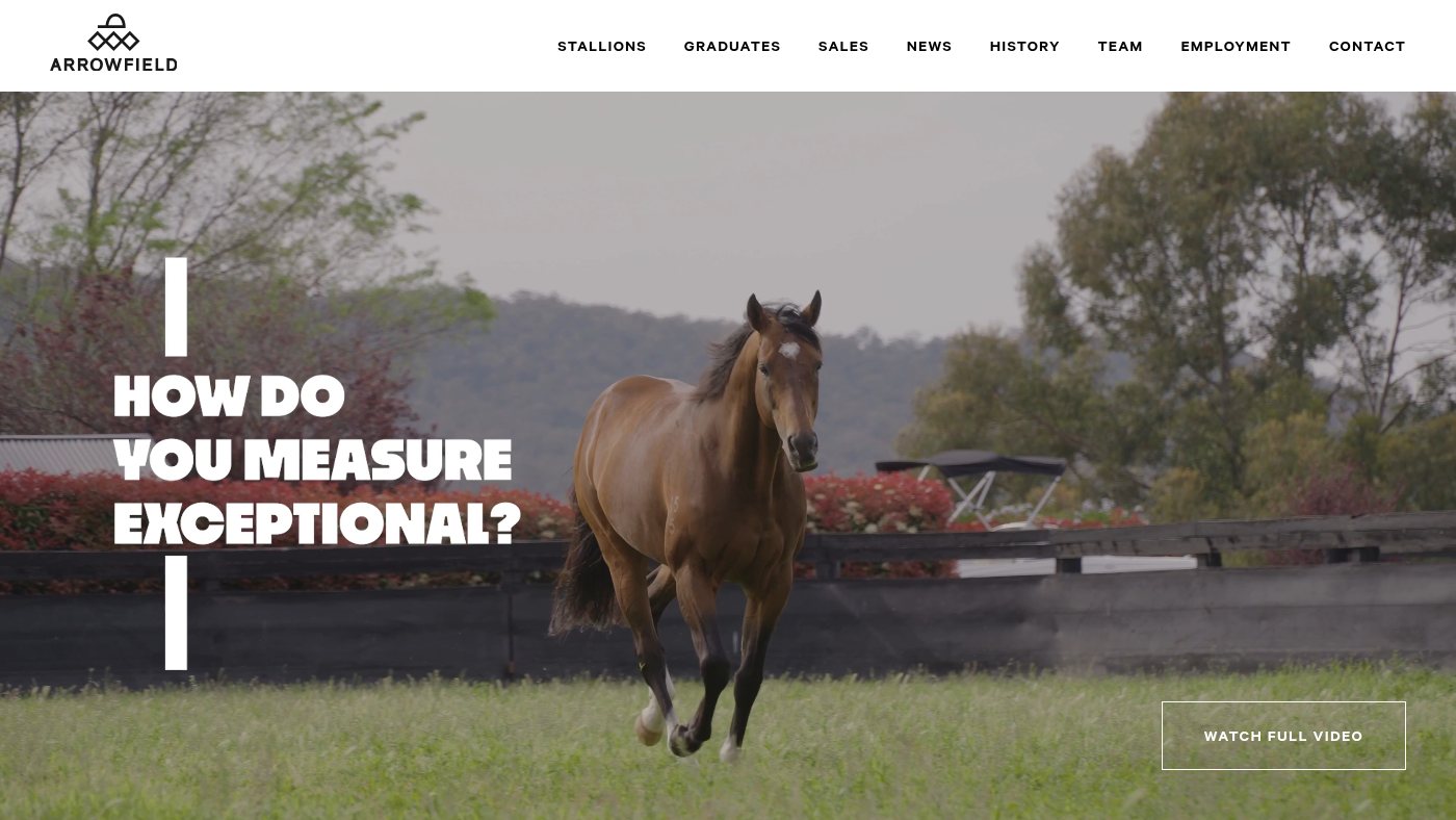 The home page of arrowfield.com.au