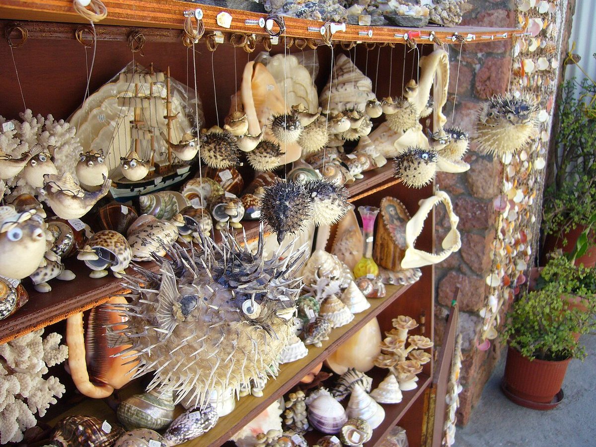 Twice as many plants and animals sold in wildlife trade as previously thought, says report