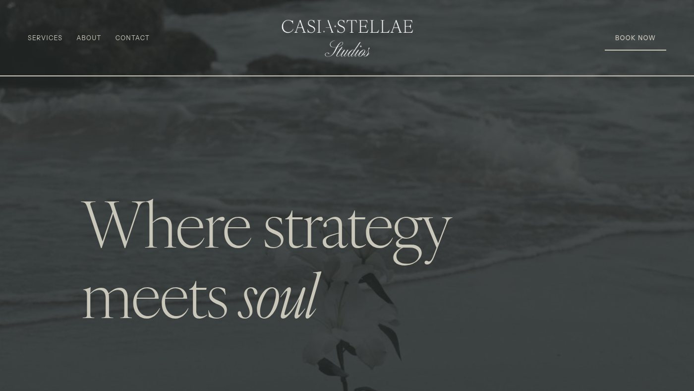 The home page of casiastellaestudios.com
