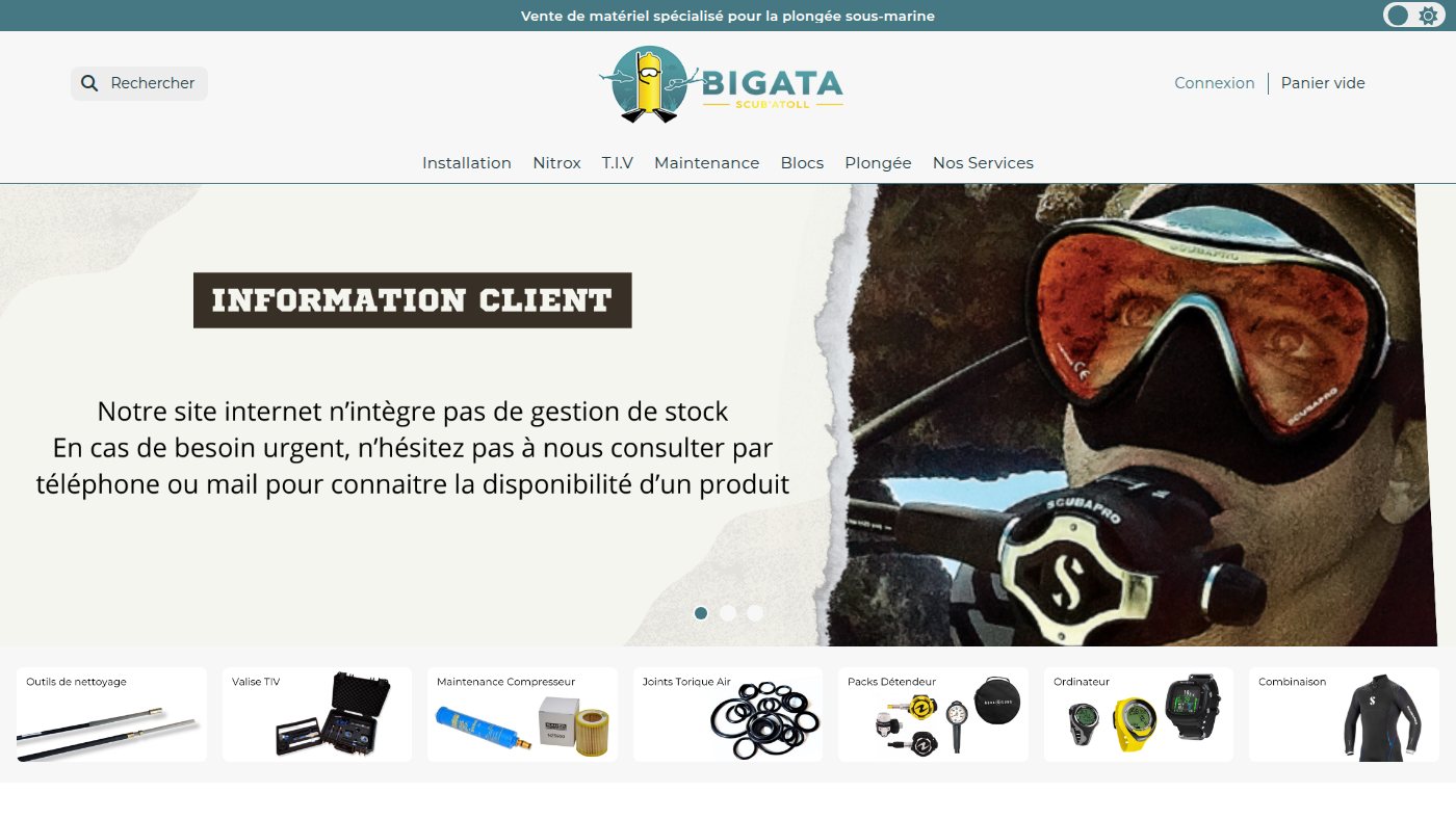 The home page of bigata.fr