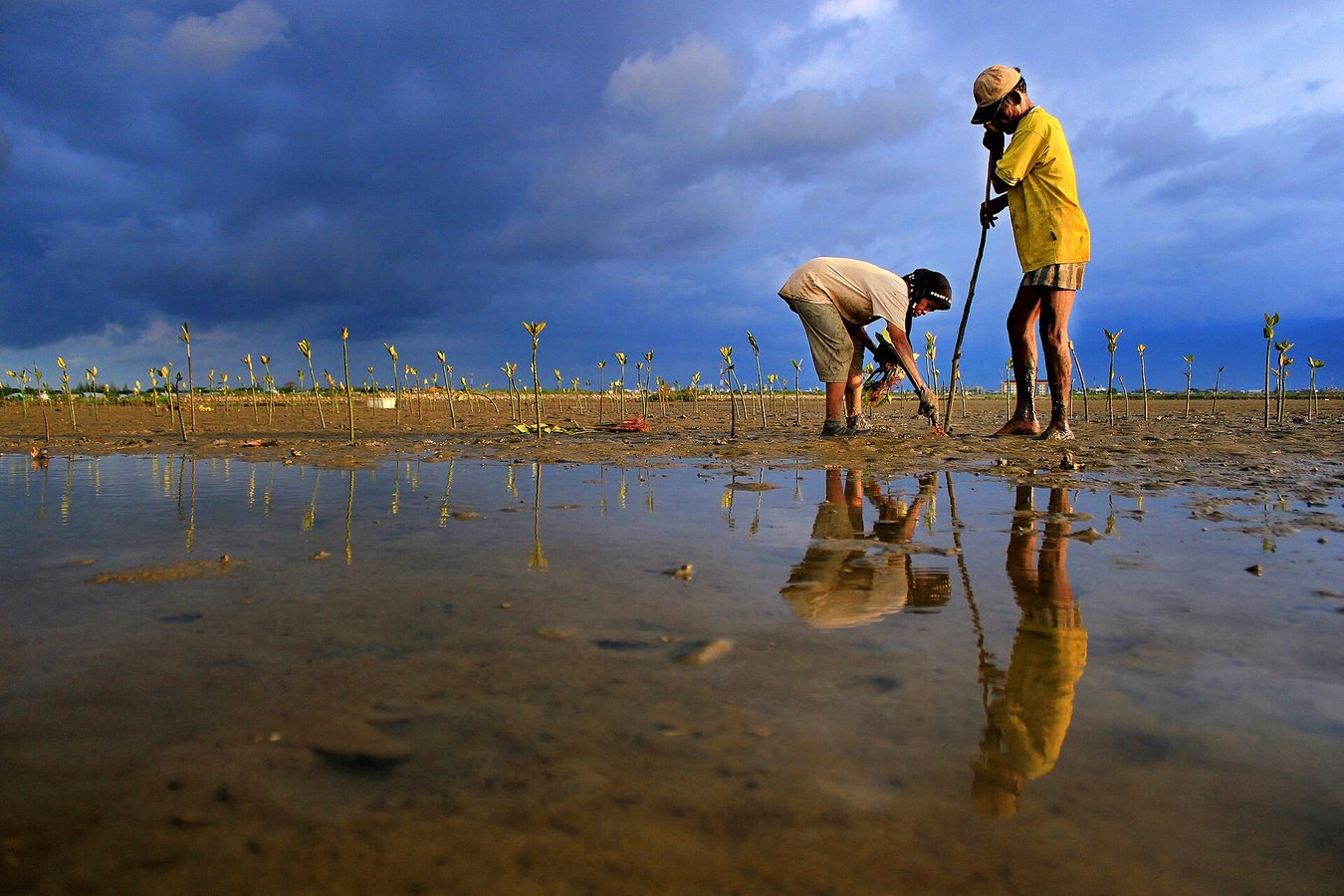 Mountains to Mangroves | Thriving Communities