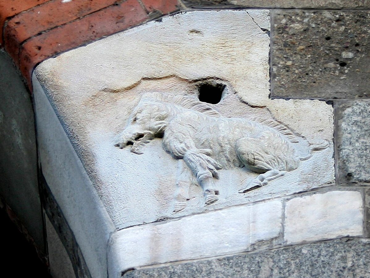 Basreliéf na Palazzo della Ragione zobrazující polovlnatou svini, od níž jedna teorie odvozuje název města