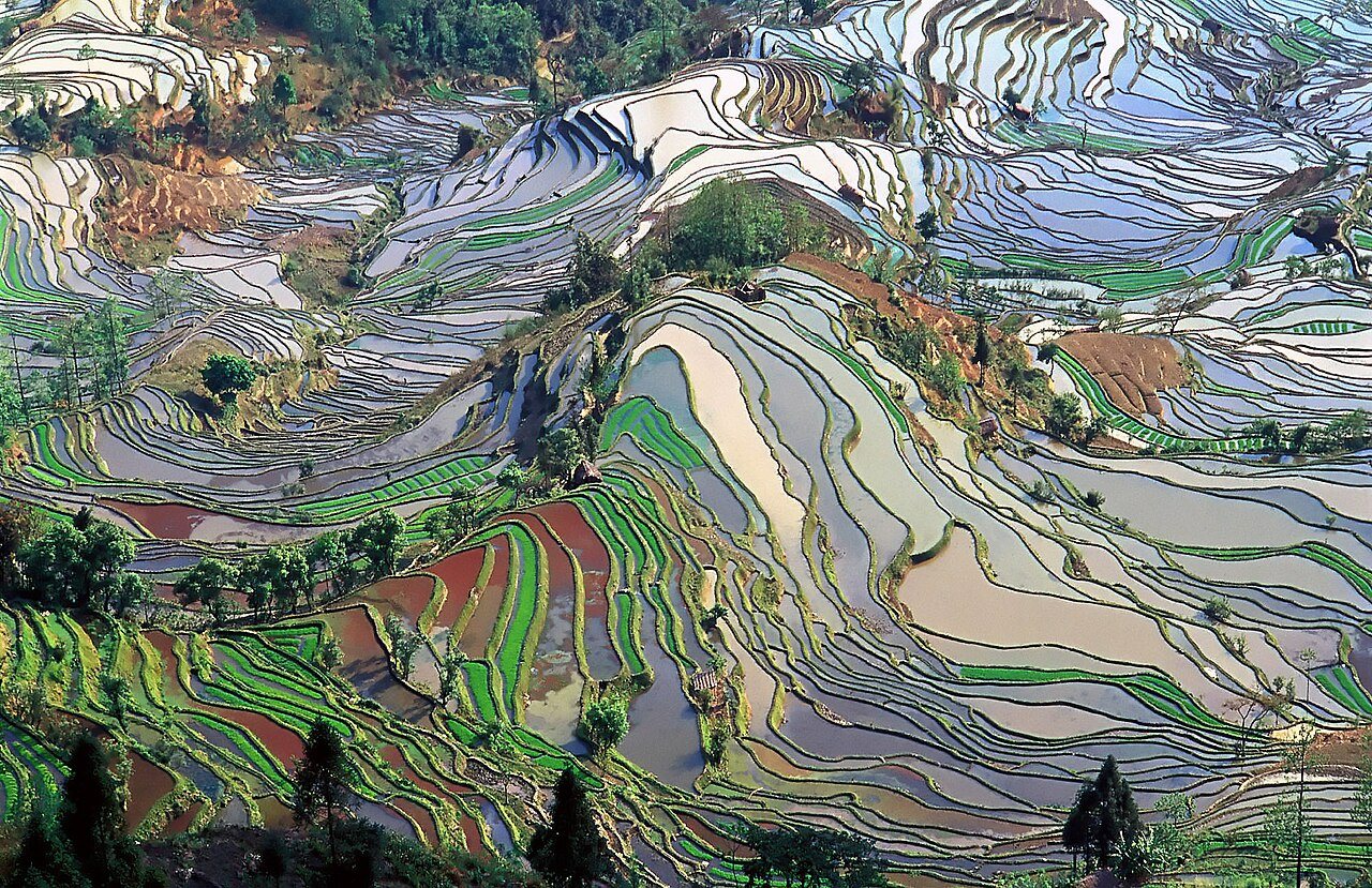 Rizières en terrasses Honghe Hani au Yunnan, reflet de la conception de l'empereur selon laquelle l'agriculture est la principale source de richesse nationale
