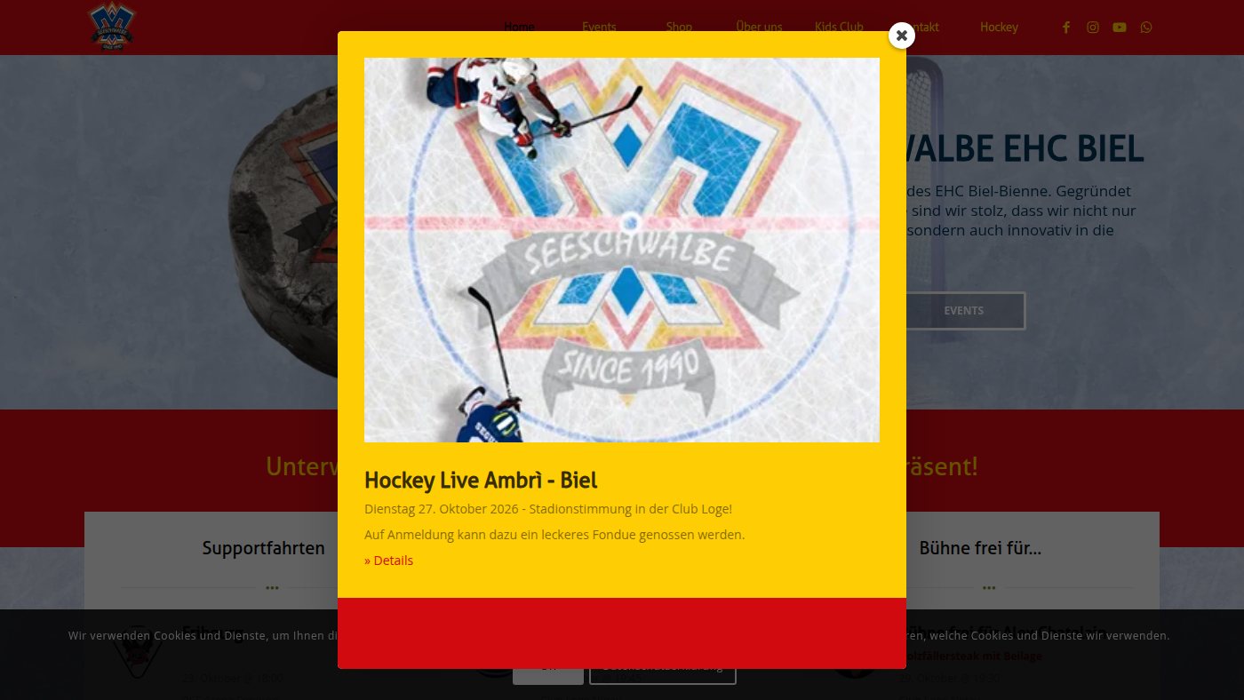The home page of seeschwalbe.ch