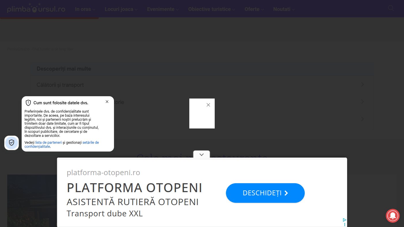 The home page of plimbaursul.ro