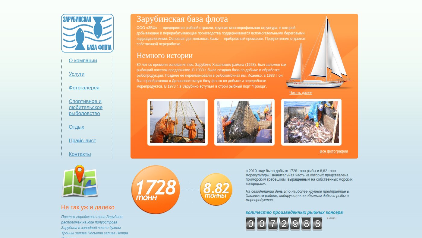 The home page of zbf-dv.ru