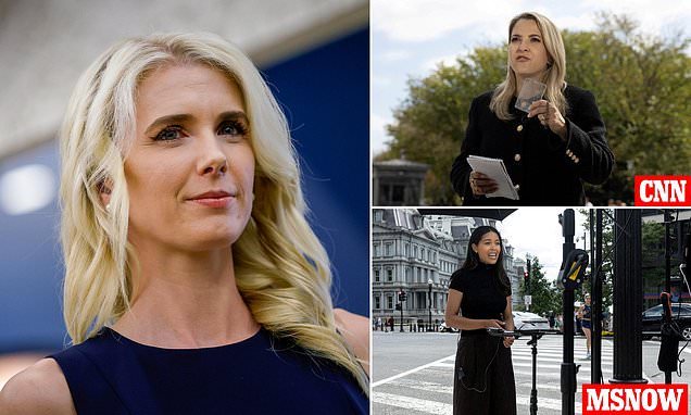 Trump aide Natalie Harp reportedly provided unflattering news clips that led to purge of unfriendly media outlets from White House