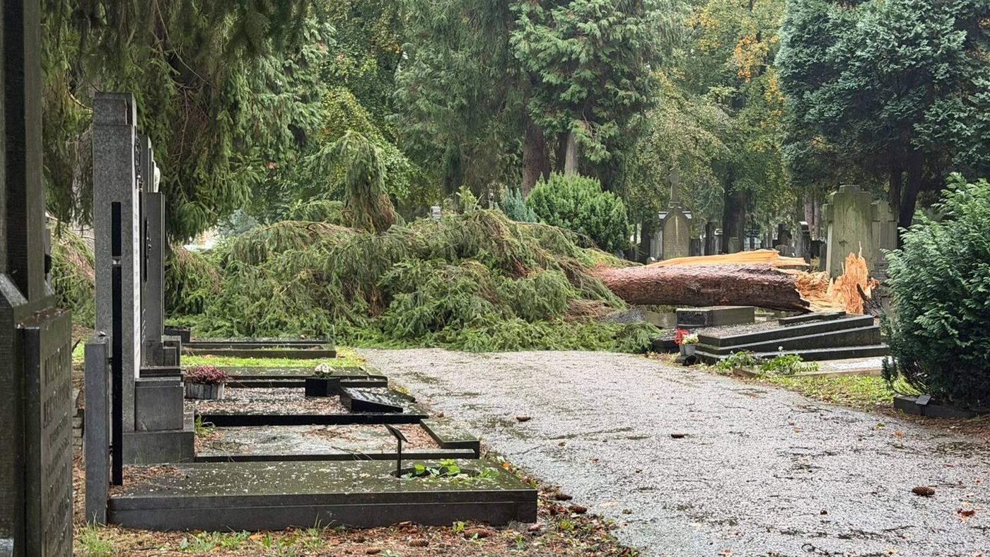 LIVE | Graven beschadigd door omgewaaide bomen op begraafplaats Maastricht