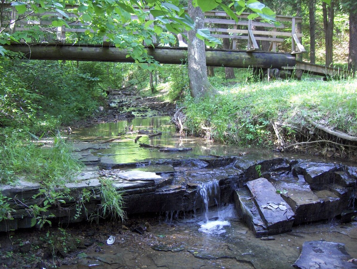Nature reserve to double in size, thanks to gift