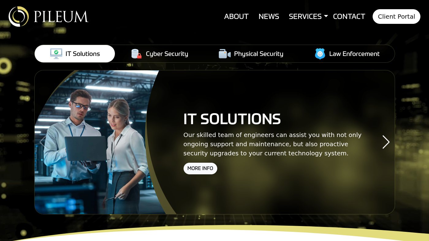 The home page of pileum.com