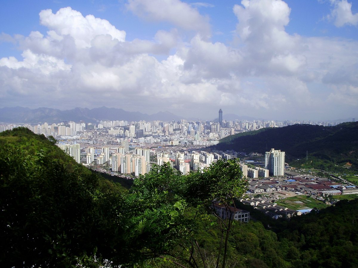 World Young Scientist Summit 2026 Opens in Wenzhou, Zhejiang