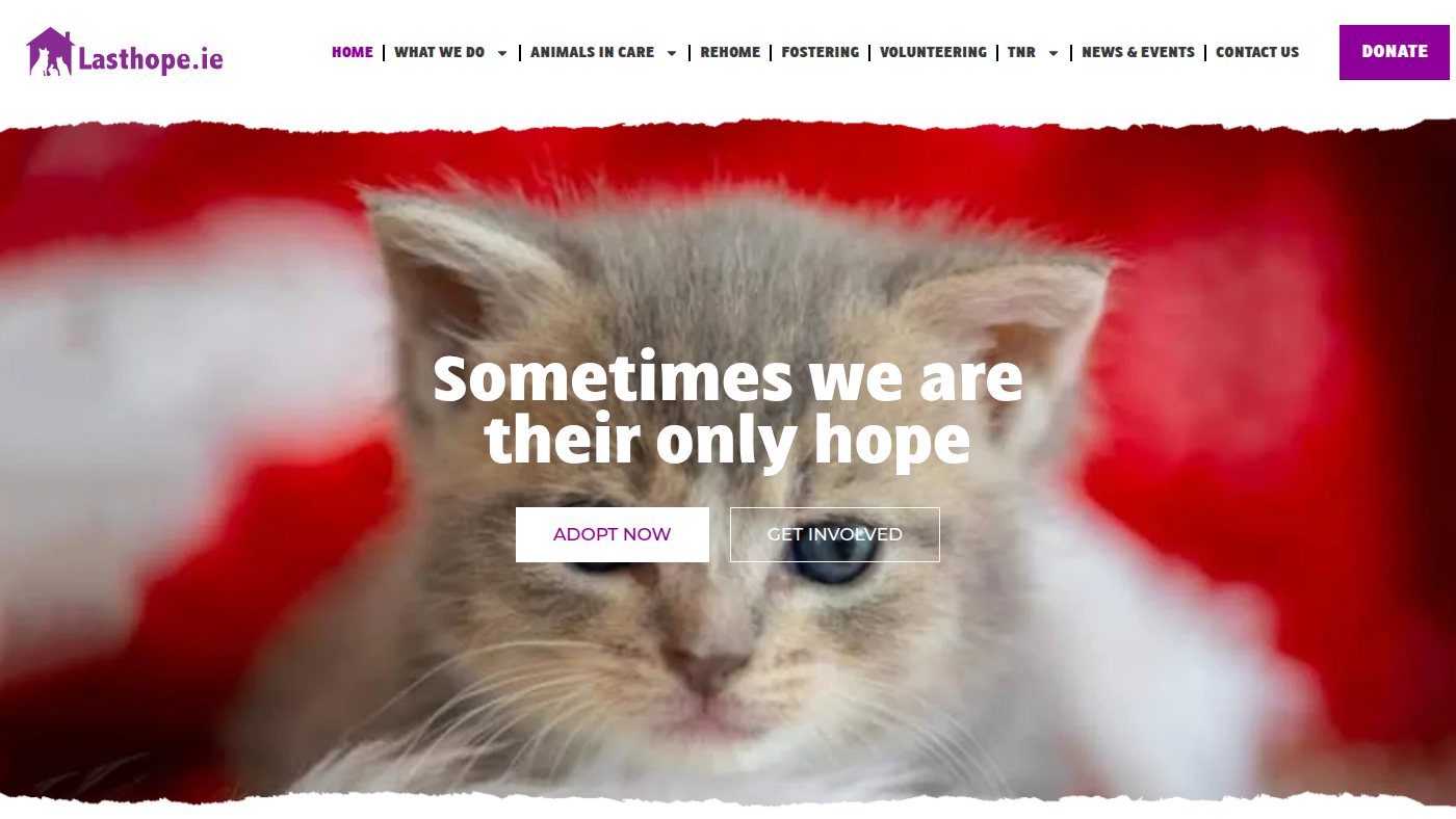 The home page of lasthope.ie