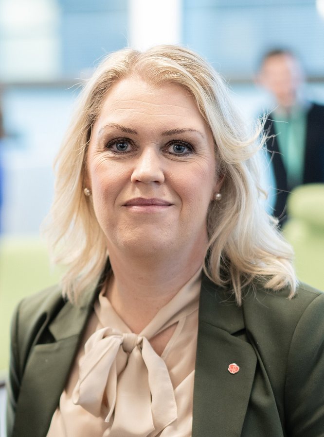 Hallengren: ”Överens om utskottsposterna”