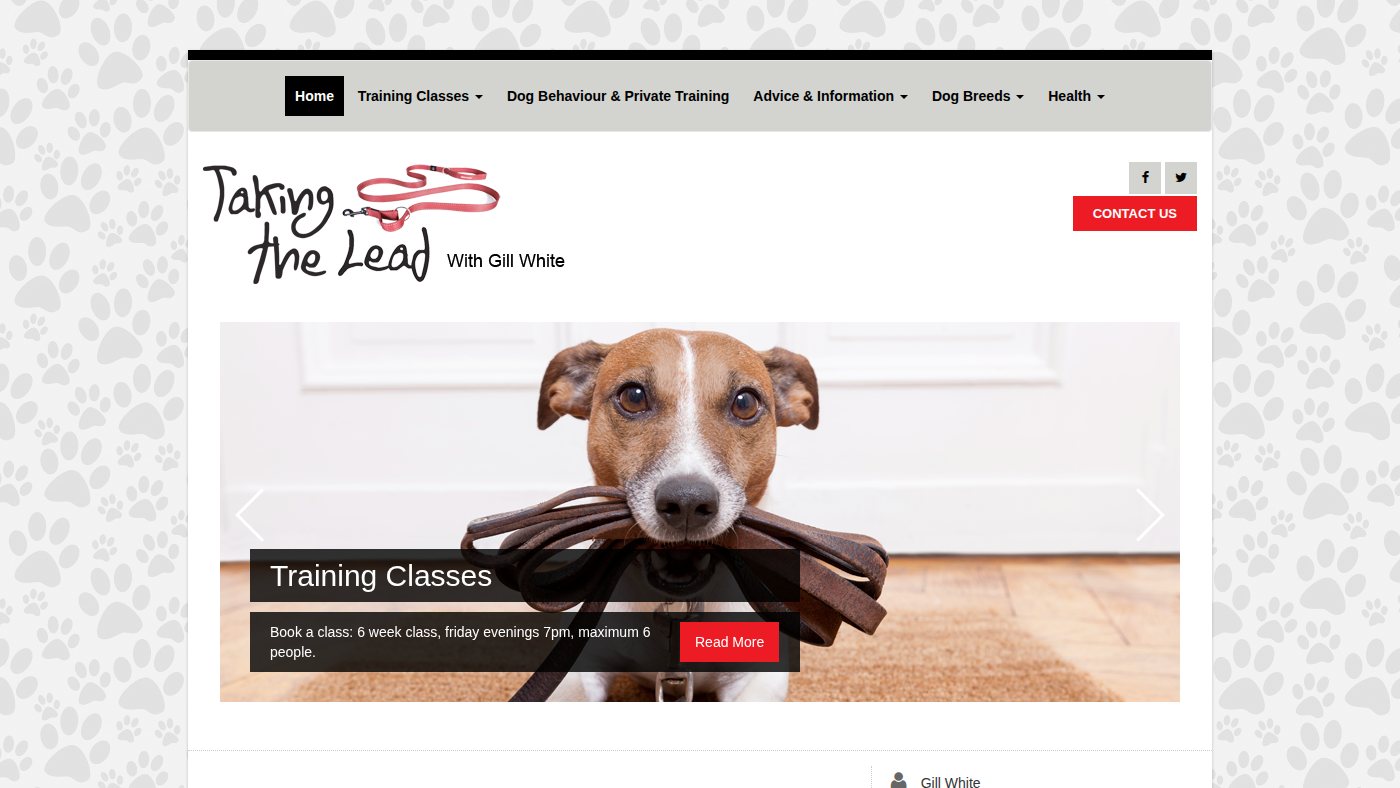 The home page of takingthelead.co.uk