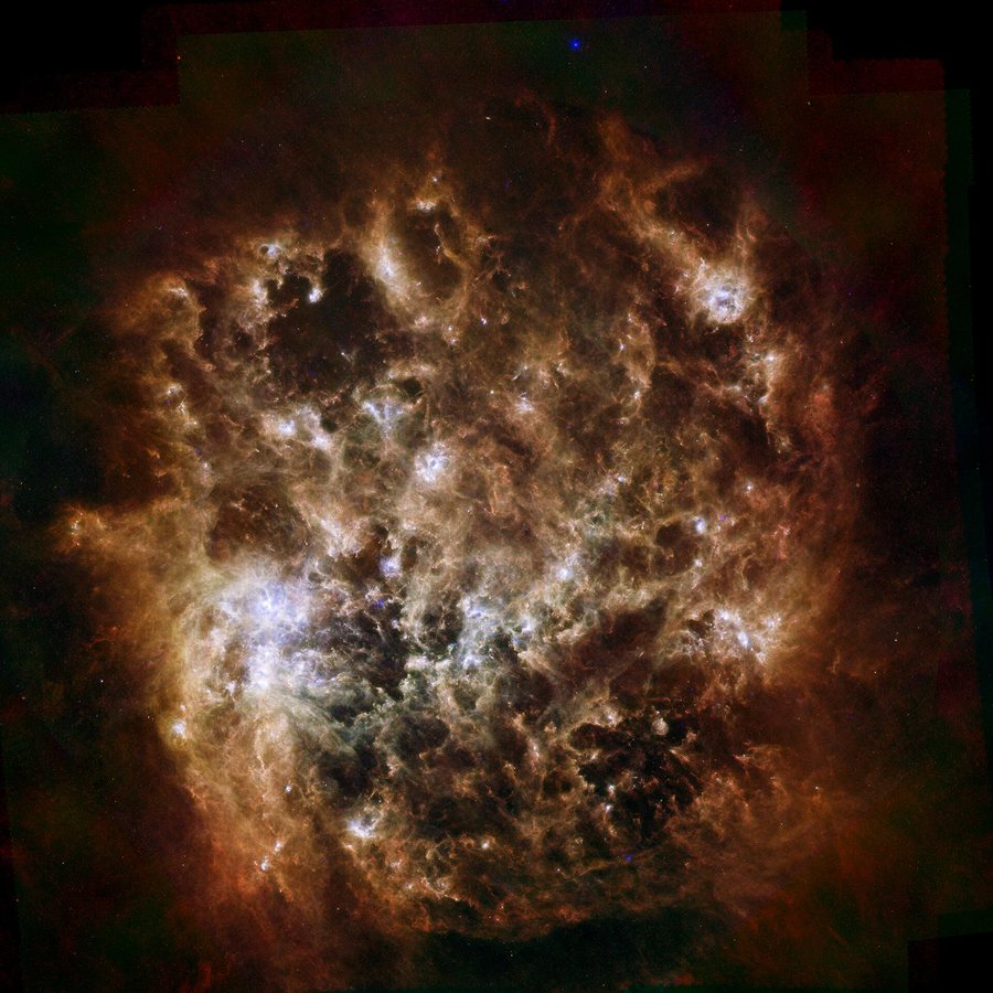 Album di famiglia per le stelle di N159