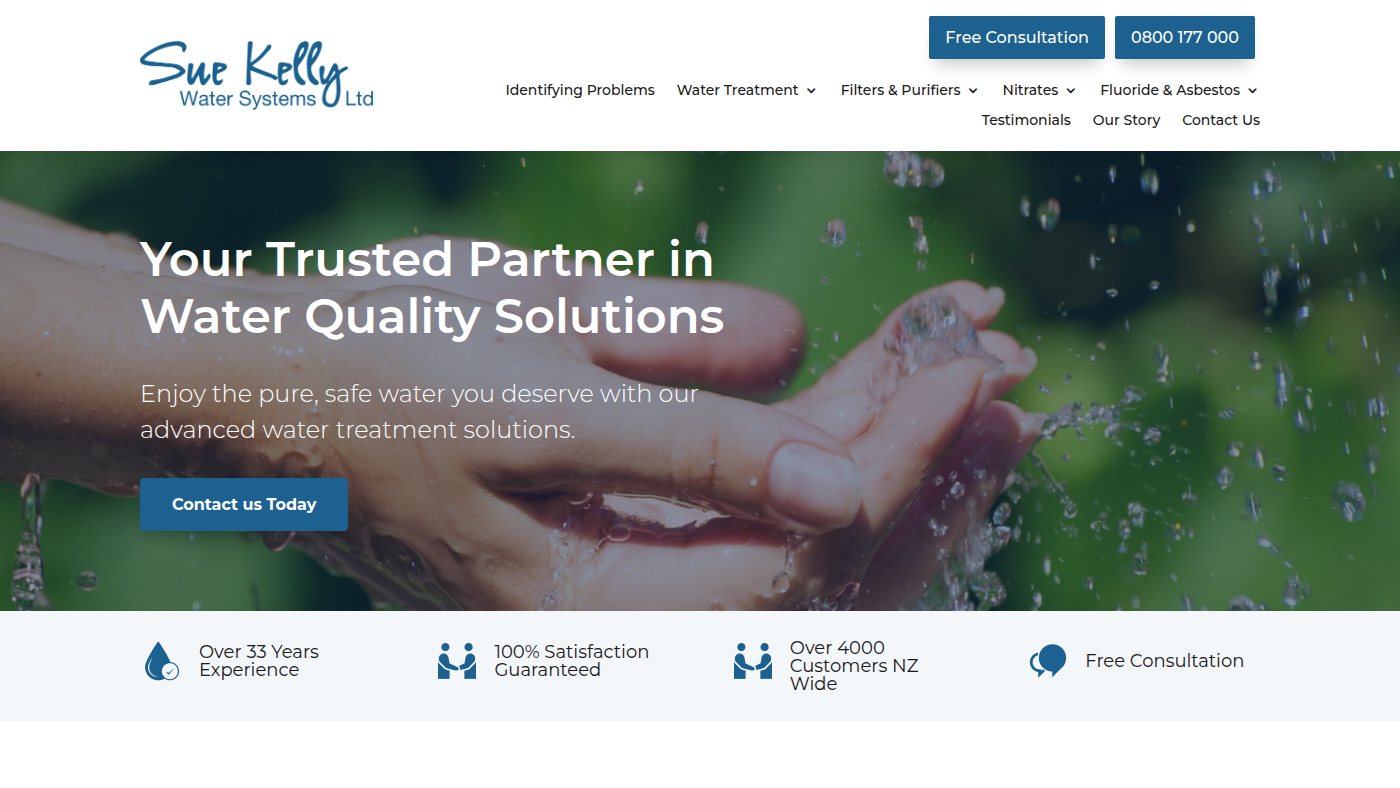 The home page of suekelly.co.nz