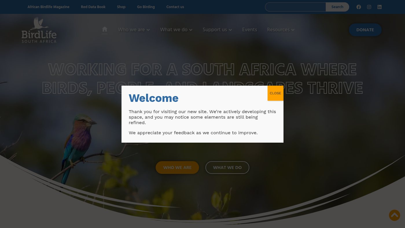 The home page of birdlife.org.za