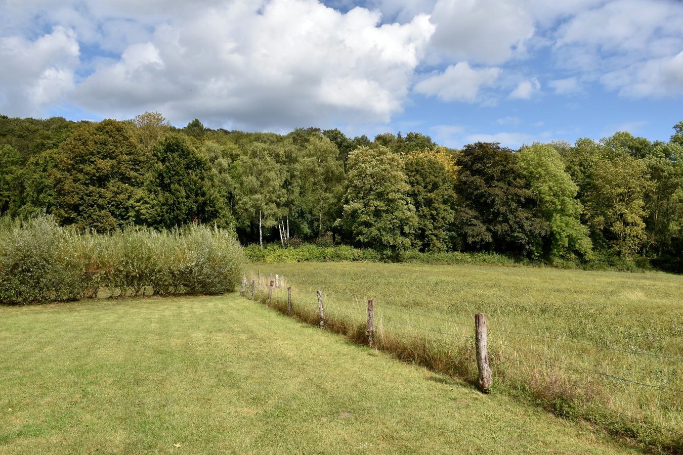 September wechselt von Gewittern zu ruhigeren Phasen