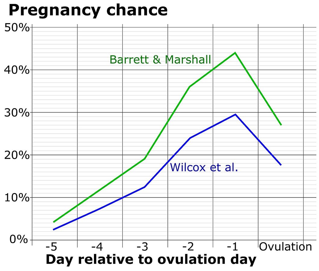 Chance of fertilization by menstrual cycle day relative to ovulation