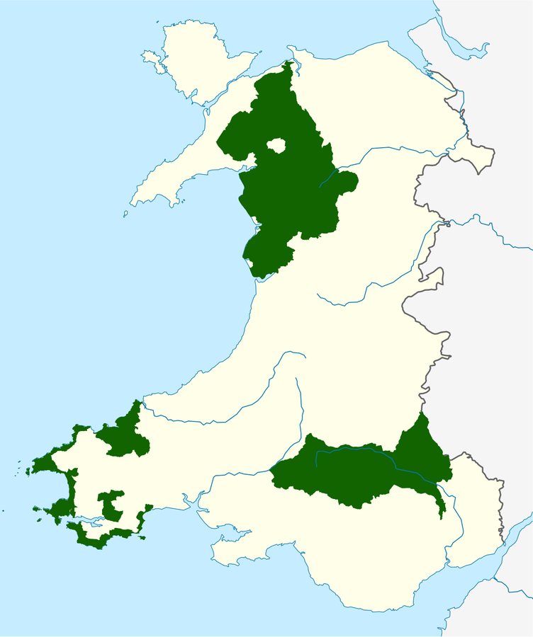 Species 'at risk of vanishing' from area of Wales' largest national park