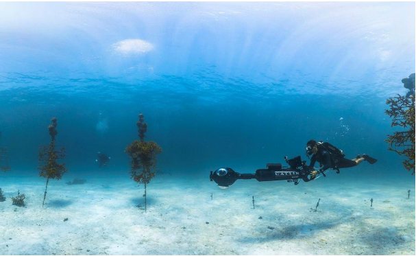 Grenada Tourism Authority Announces 5th Annual Dive and Conservation Festival