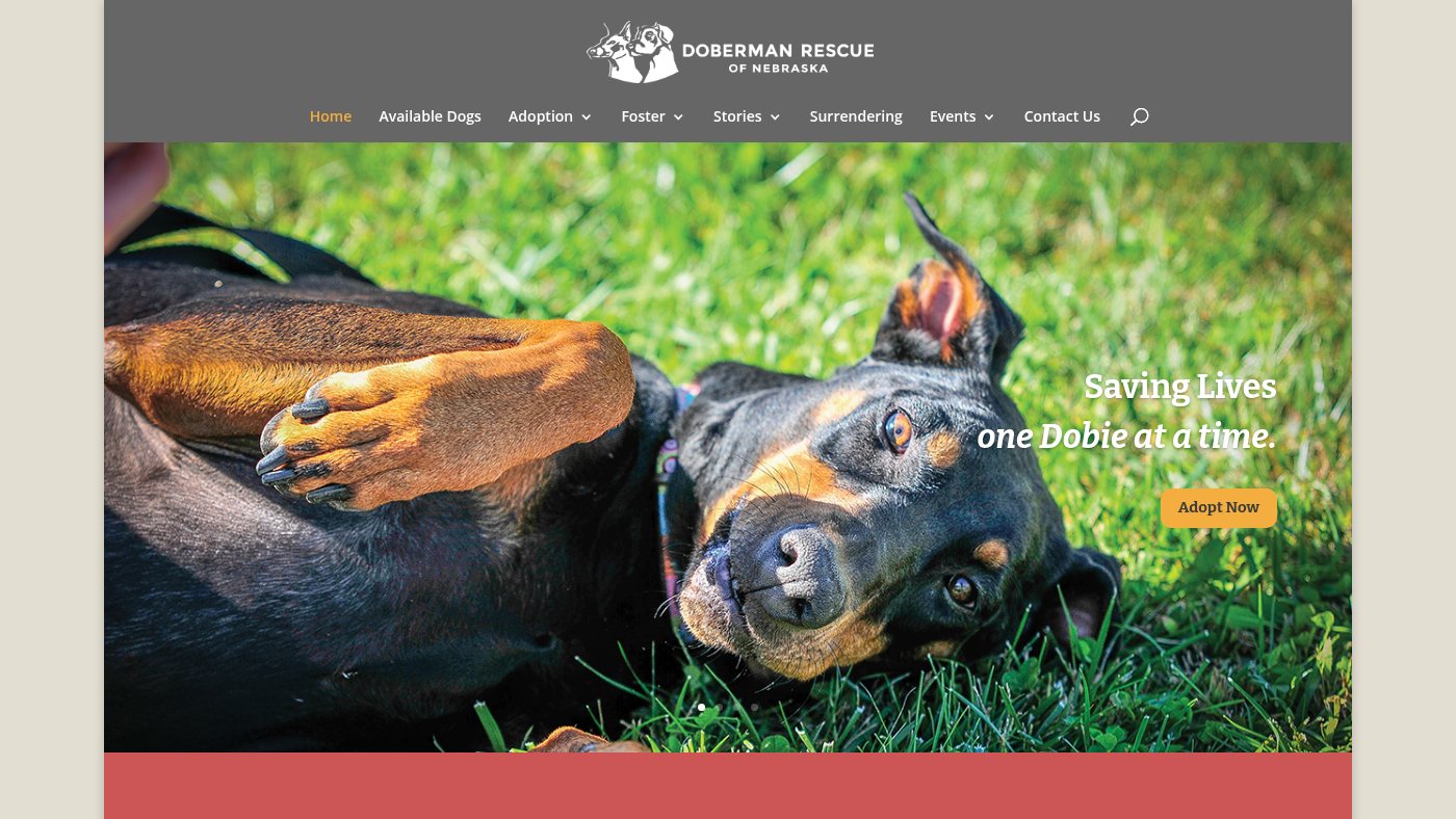 The home page of doberescue-ne.org