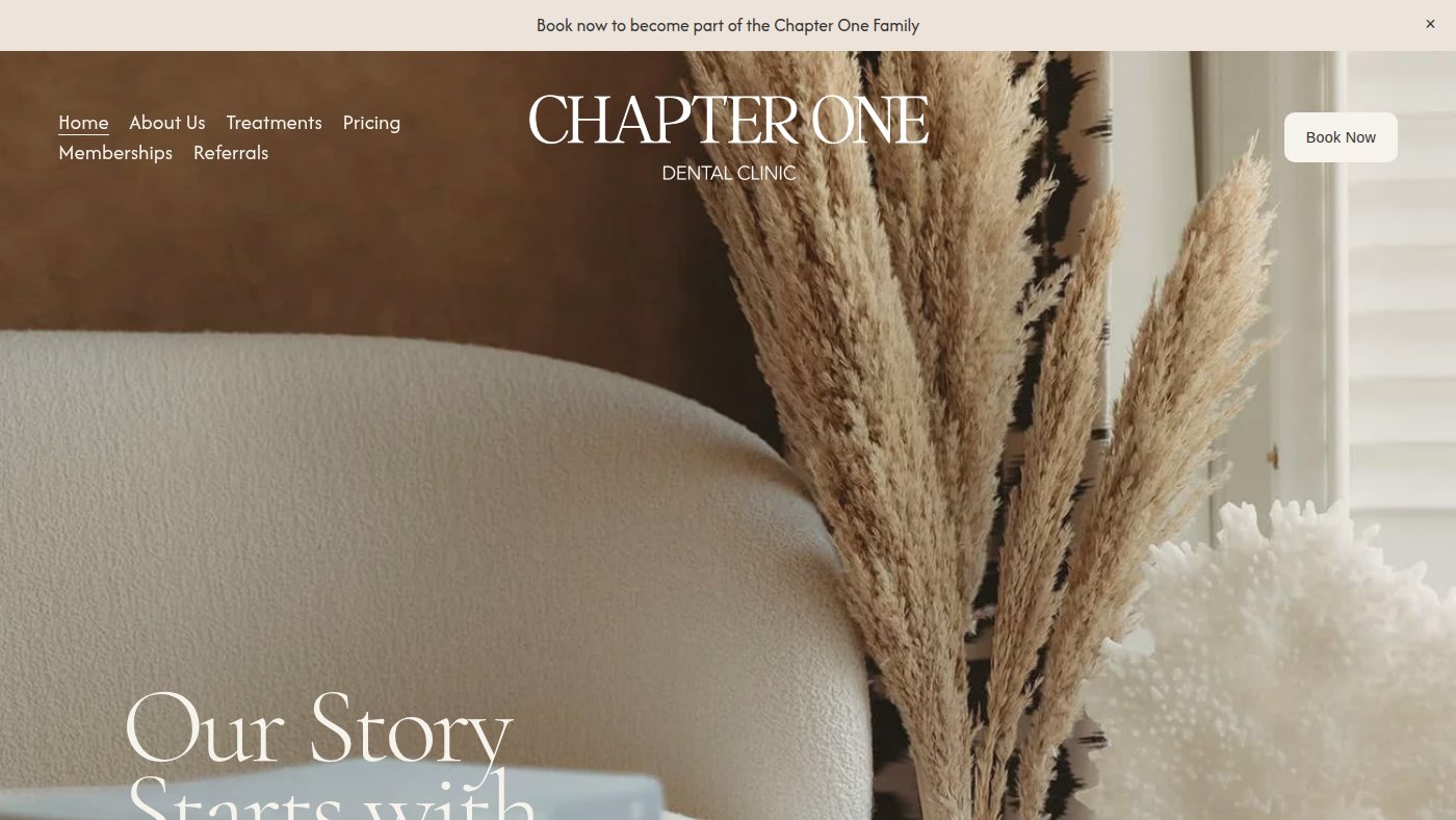 The home page of chapteronedental.com