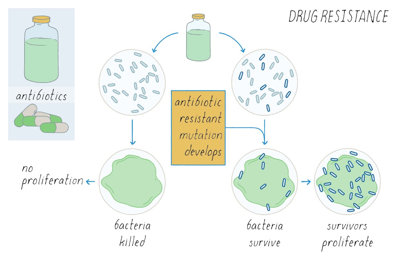 This new drug could break cancer’s resistance to treatment