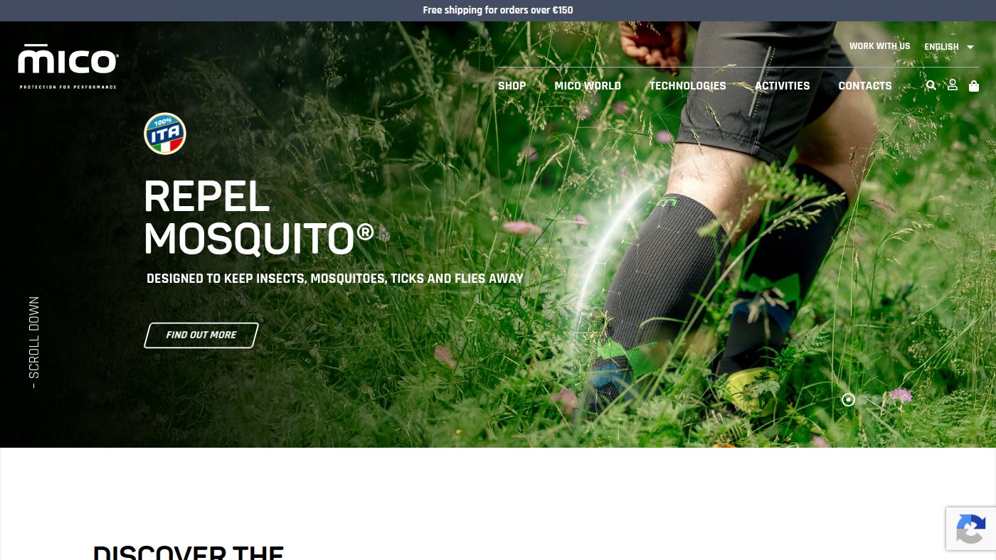 The home page of mico.it