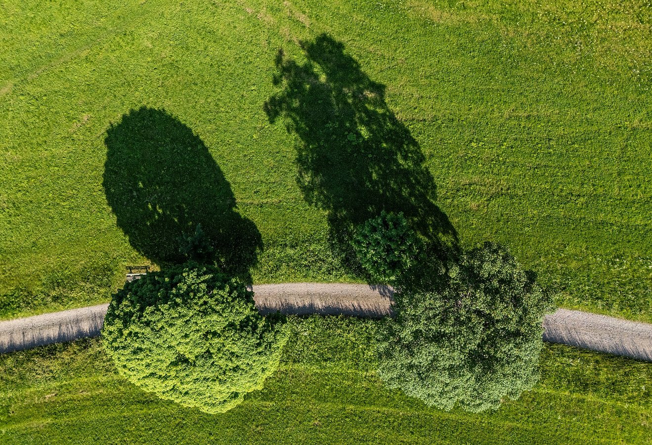 Waldkunstpfad in Darmstadt, Germany
