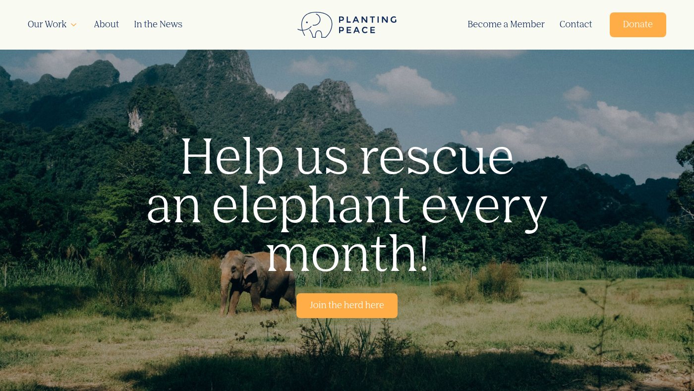 The home page of plantingpeace.org