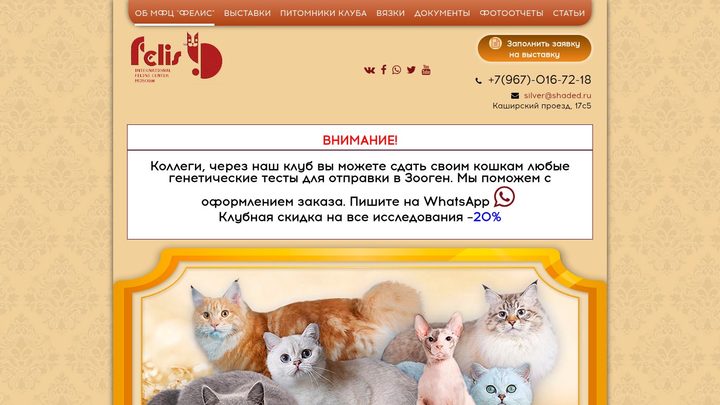 The home page of ifc-felis.ru