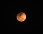 Near total lunar eclipse will be seen from North and South America Thursday night