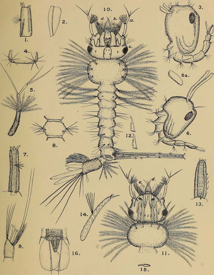 Chinese-owned science journal created to rival the best