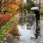 Цього тижня циклон принесе на Дніпропетровщину дощі та похолодання
