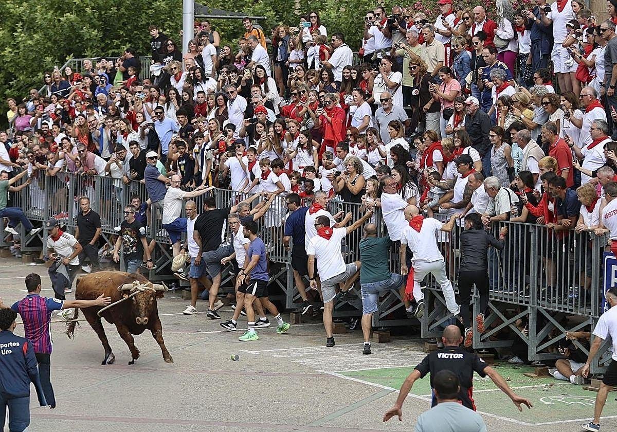Conmoción en Navarra tras la muerte de la mujer herida en el Toro con Soga de Lodosa: «Descansa en paz, Leire»
